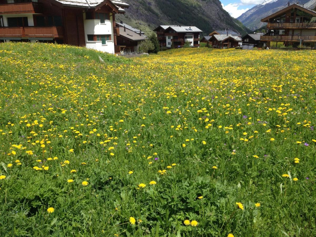 Ferienwohnung Haus Marico Zermatt Exterior foto